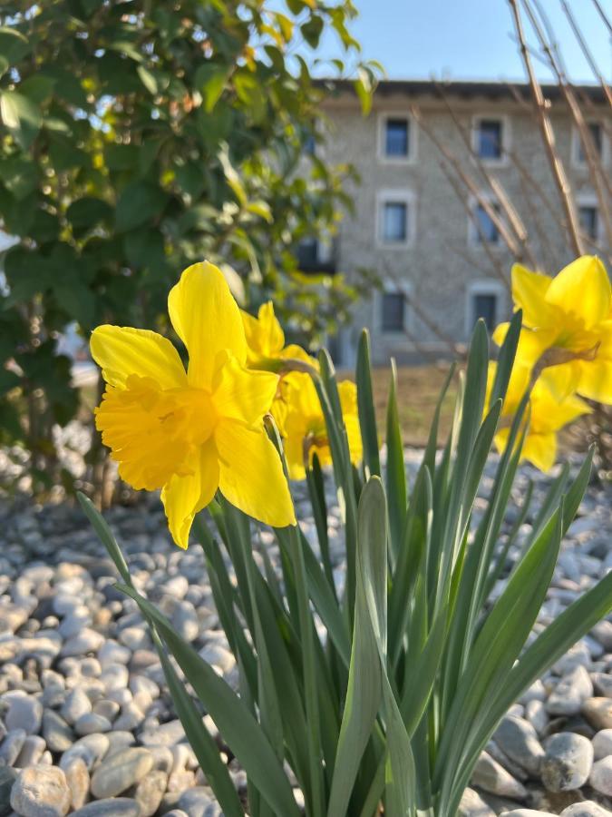 Atmosfere Charme & Country Borgo San Mauro Exterior foto